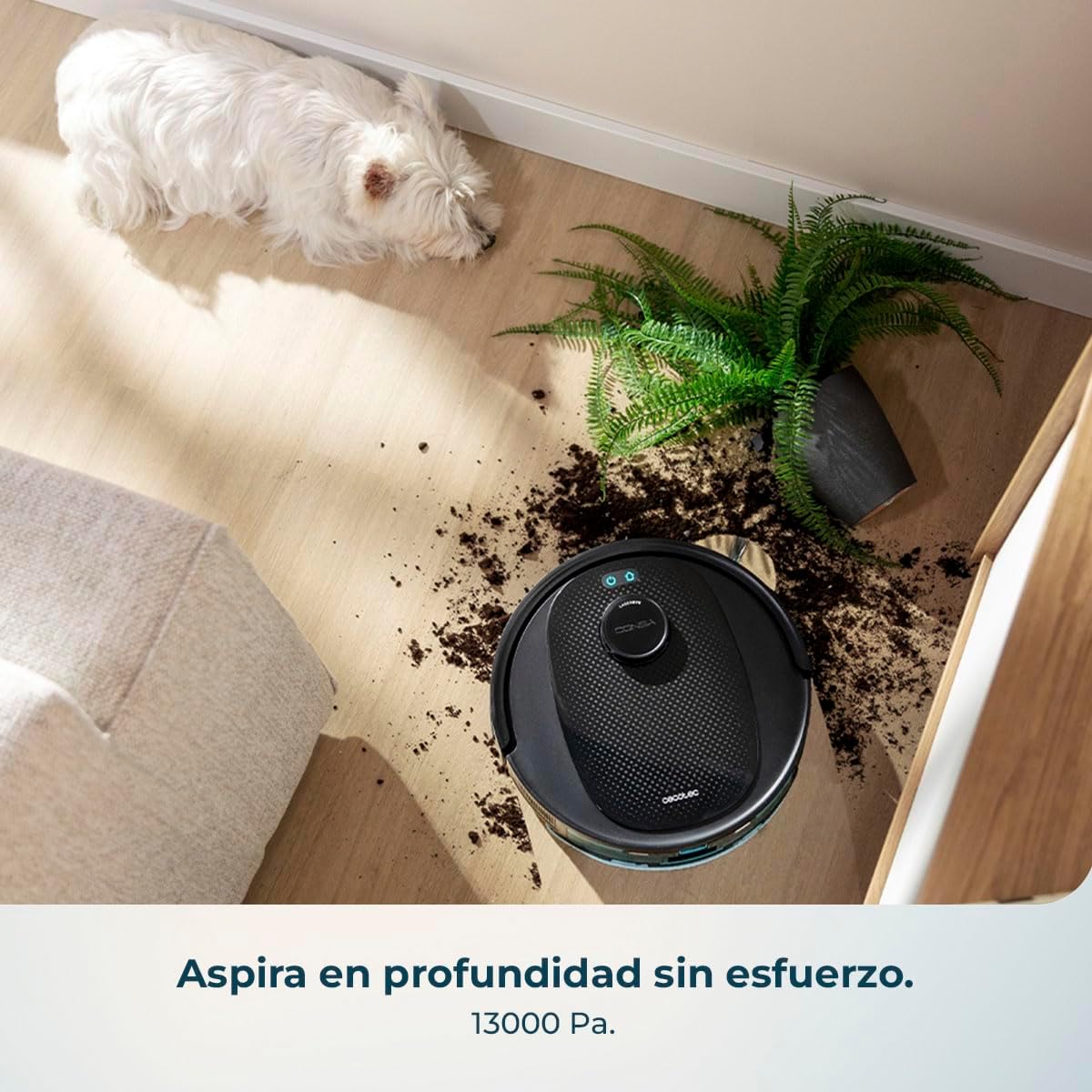 Cecotec Robot Aspirador y Friegasuelos con Base de Autovaciado e IA Conga Y80 X-Treme. Navegación Láser e Inteligencia Artificial, 13000Pa, Base de 2.5L, Autonomía hasta 220m², Control App 3.0