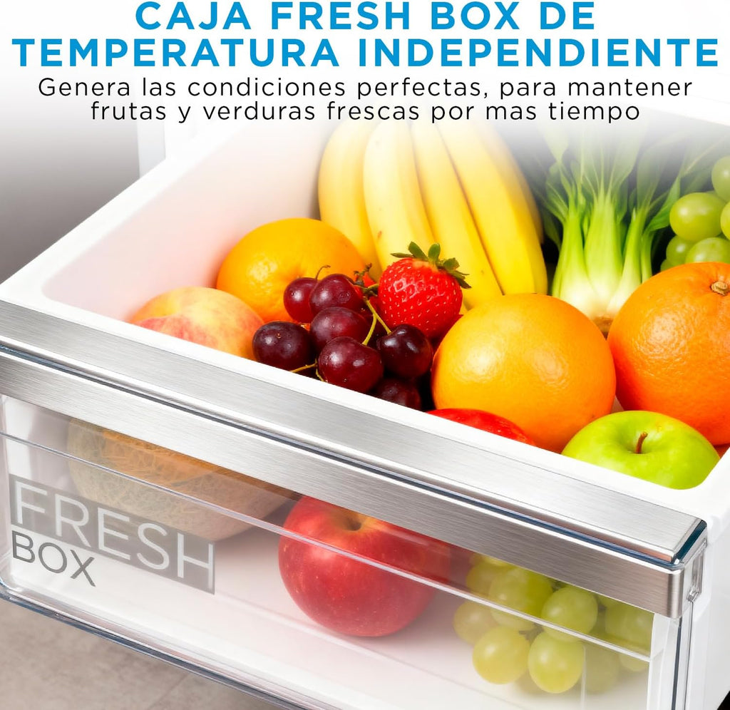 Midea Frigorífico Combi No Frost | 60 cm ancho x 188 alto cm | Inox | Nevera libre instalación 224 L + 86 L Congelador - Refrigerador de bajo consumo con congelador vertical
