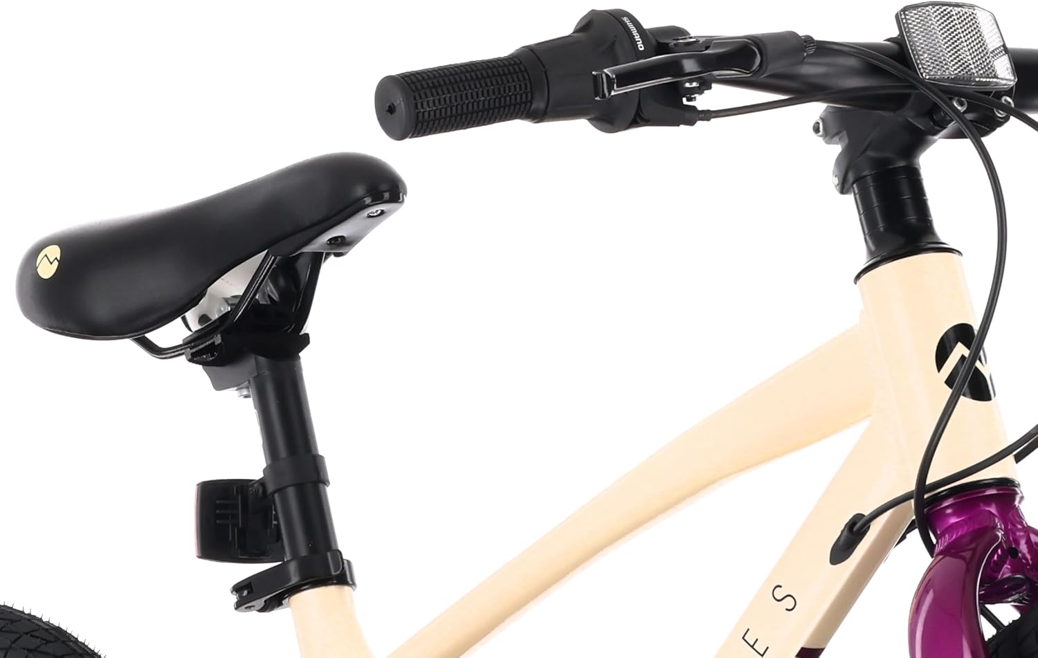 Tatra Bikes Bicicleta Infantil 20 Pulgadas, Bici para niños con Cuadro de Aluminio, 6 Cambios, Frenos de Disco, Timbre, reposapiés, reflectores