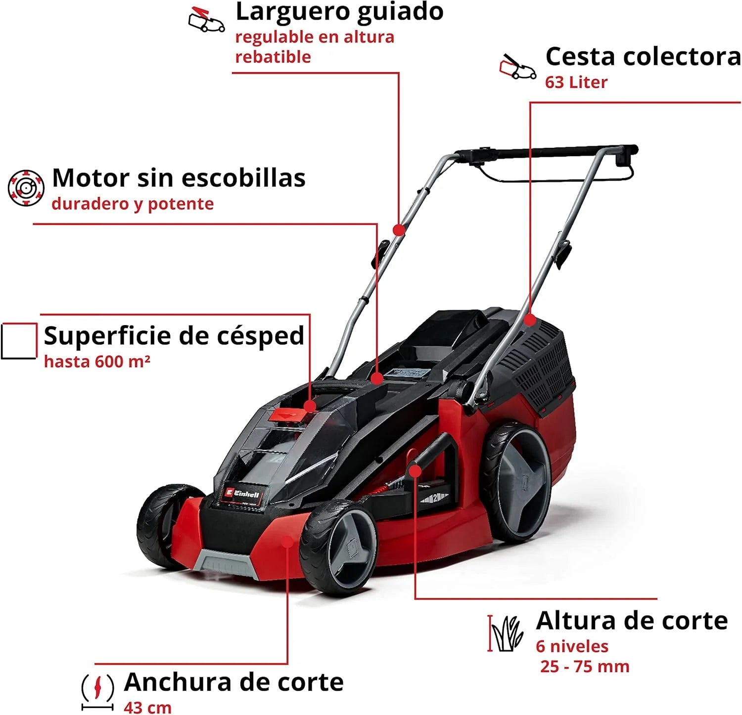 Einhell Battery mower GE-CM 43 Li M Kit Power X-Change (36V, 43 cm Cutting Width, up to 600 m², Brushless, Mulching Function, 63L Collecting Bag, with 2 x 4.0 Ah Batteries and 2 x Chargers)