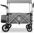 FUXTEC FX-CTL900 Premium Grey, Original Folding Trolley for Children, Ideal Garden, Beach or City, Push or Pull, Load up to 75 kg.