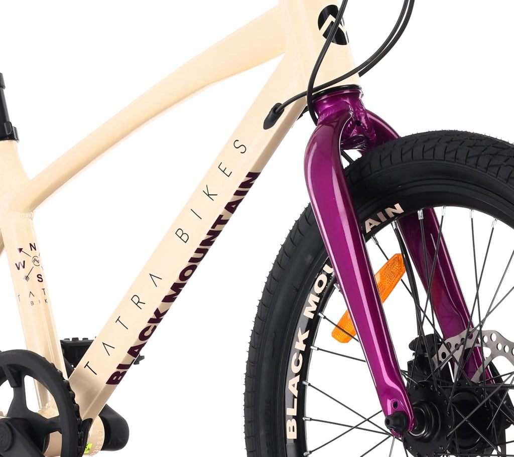 Tatra Bikes Bicicleta Infantil 20 Pulgadas, Bici para niños con Cuadro de Aluminio, 6 Cambios, Frenos de Disco, Timbre, reposapiés, reflectores