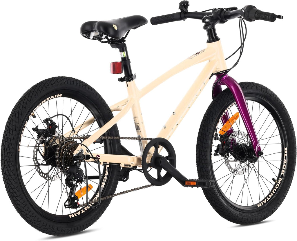 Tatra Bikes Bicicleta Infantil 20 Pulgadas, Bici para niños con Cuadro de Aluminio, 6 Cambios, Frenos de Disco, Timbre, reposapiés, reflectores
