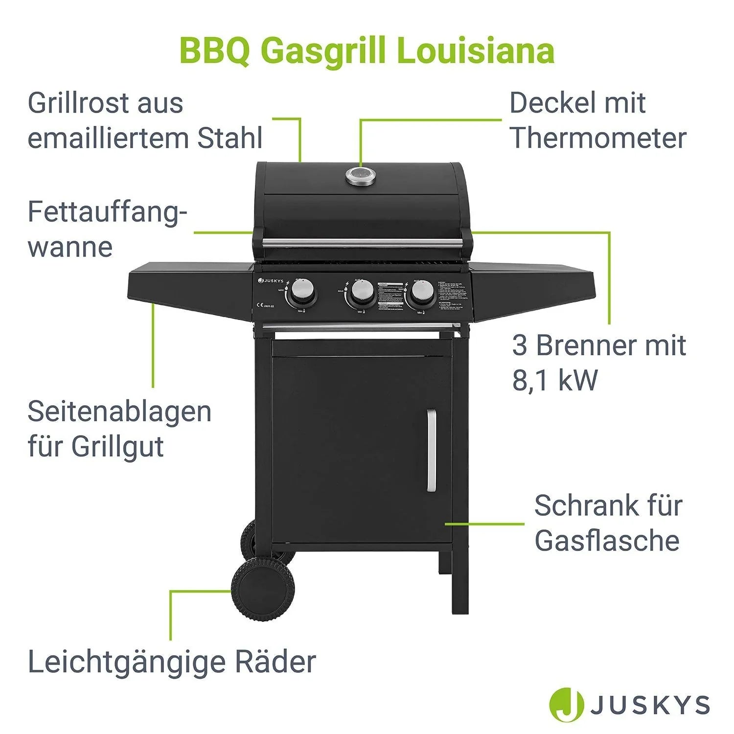 2026 Barbacoa de gas Louisiana