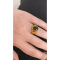 Anillo Steel