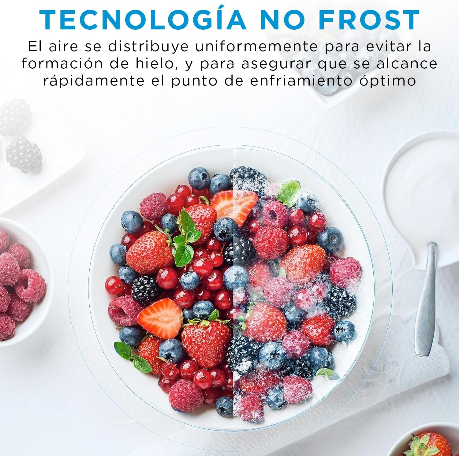Midea Frigorífico Combi No Frost | 60 cm ancho x 188 alto cm | Inox | Nevera libre instalación 224 L + 86 L Congelador - Refrigerador de bajo consumo con congelador vertical
