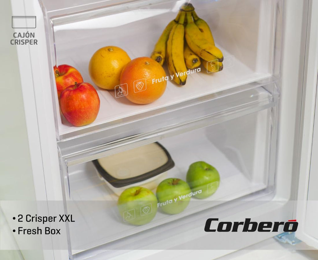 Corberó - Frigorífico 1 Puerta | CCLH18524NFW | 65x59,5x185 | Capacidad 359L | No Frost | Display en Puerta | Luz LED | 2 Crisper XXL | Fresh Box | 4 Botelleros | Tirador Easy Open | 40 Db | Inox