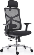 HOLLUDLE Ergonomic Office Chair with Adaptive Backrest, High Back Desk Table and Chair with 4D Armrests, Adjustable Seat Depth, Lumbar Support and 2D Headrest
