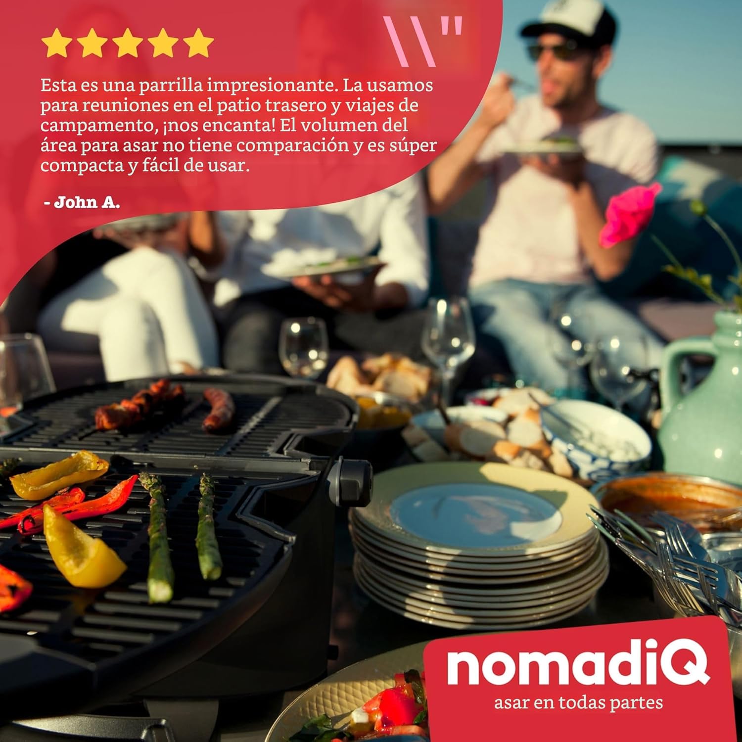 NOMADIQ Parrilla portátil de gas propano | Pequeña, pequeña y ligera barbacoa de mesa | Perfecta para camping, portón trasero, cocina al aire libre, RV, barcos, viajes (parrilla)