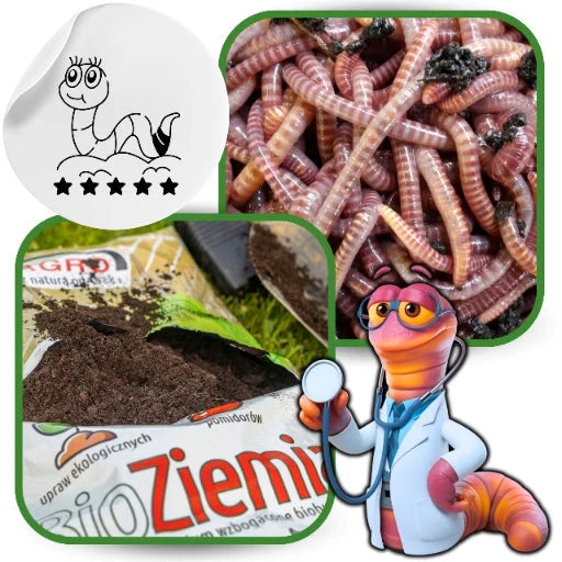 Ziemia Ogrodowa BIO Kompost 1050L do pomidorów warzyw rozsad PALETA